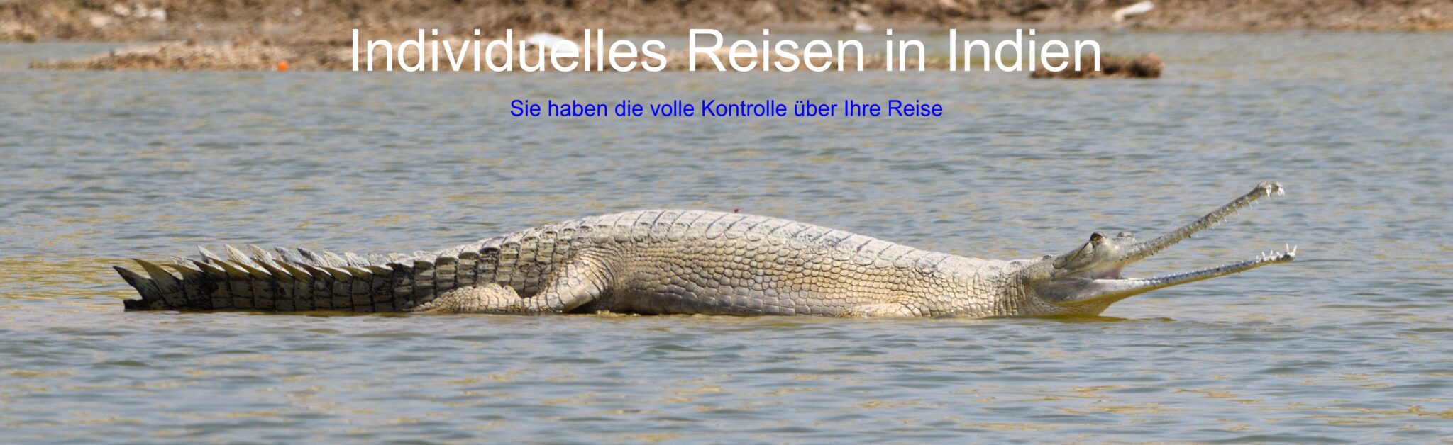 Individuelles Reisen Indien. Selbstorganisiert. Massgeschneidert.